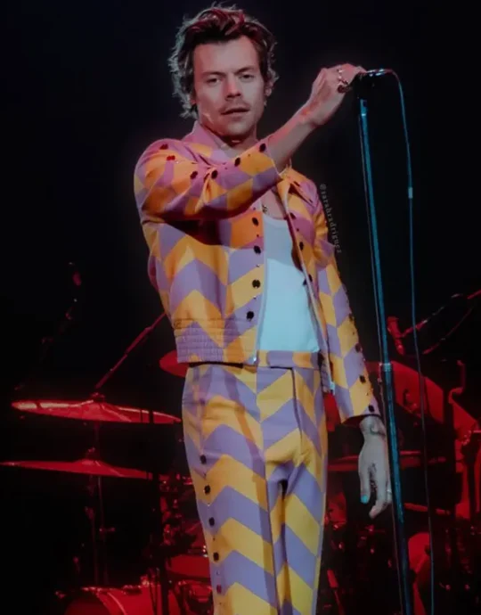 Love On Tour 2022 Concert Harry Styles Tracksuit