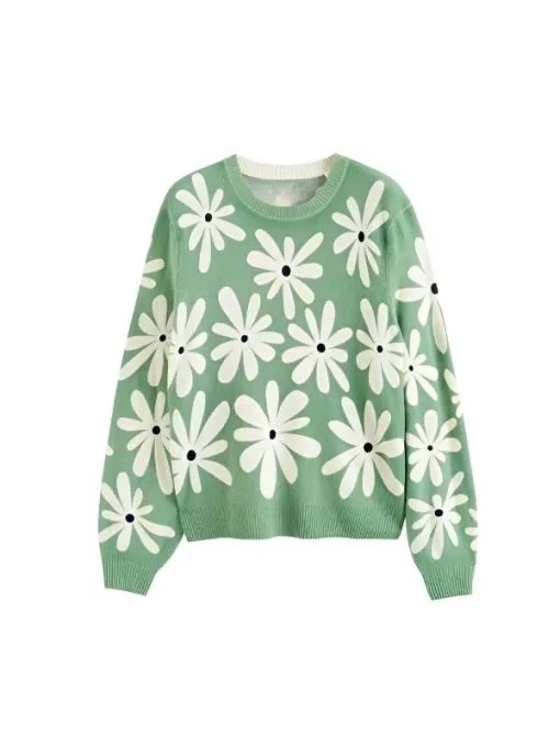 Girl Meets Farm Molly Yeh Mint Green Daisy Print Sweater
