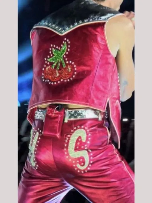 Harry Styles Concert Pink Strawberry Vest 2025