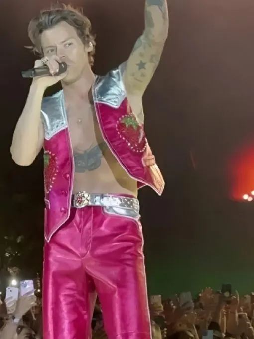 Harry Styles Concert Pink Strawberry Vest