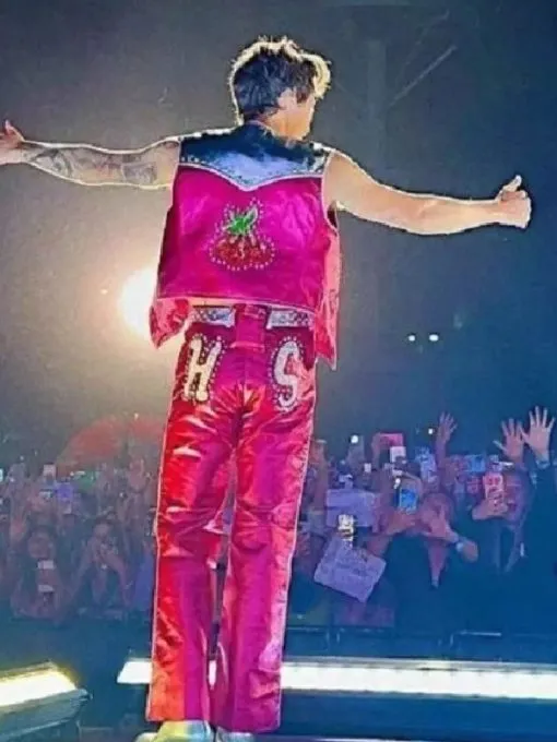 Harry Styles Pink Strawberry Vest